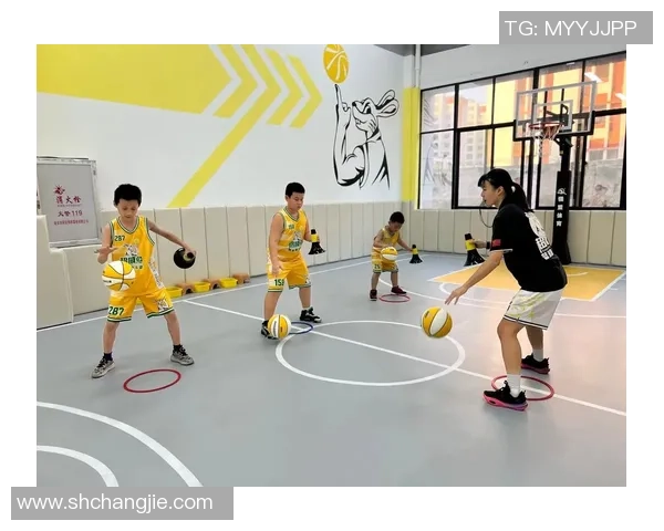 幼儿园四号篮球推荐适合小朋友的最佳选择与购买指南